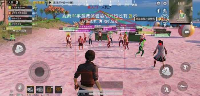 火焰鸟直装和平精英 - 热门辅助一键启用